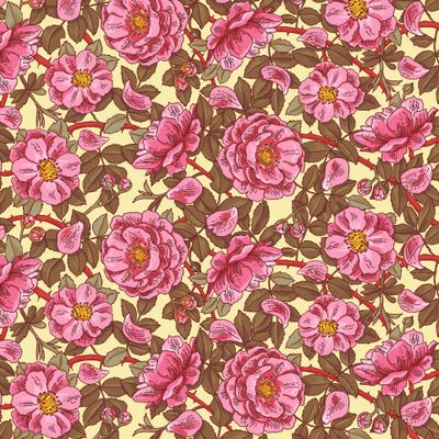 Утренний цветущий шиповник