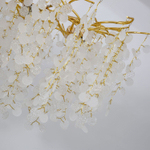 Подвесная люстра Favourite PARRA 4161-12P