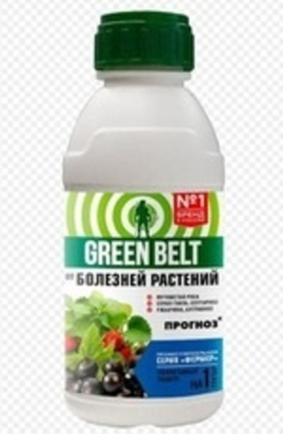Пестицид Прогноз GREEN BELT 250 мл