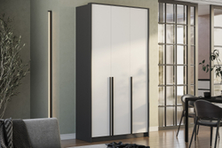 Шкаф трехстворчатый Шарм ШК-10, Графит, Белый