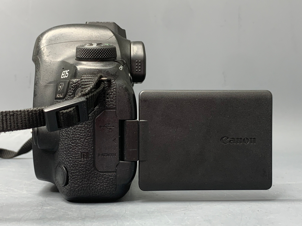 Canon 6D Mark II 21900 кадров