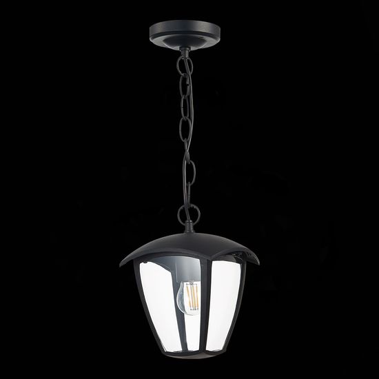 SL081.403.01 Светильник уличный подвесной ST-Luce Черный/Черный, Прозрачный E27 1*40W SIVINO