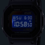 Мужские наручные часы Casio G-Shock DW-5600RW-1