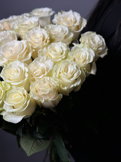 25 Белых роз сорт «MONDIAL» (Эквадор)