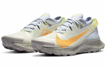 Кроссовки Nike Pegasus Trail 2 (Женская размерная сетка)