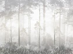 Туманные сосны