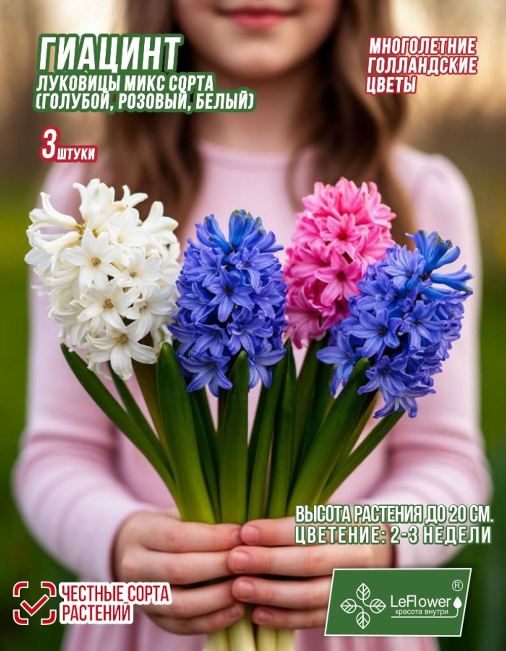 Гиацинт Луковицы, Микс сортов, 3шт