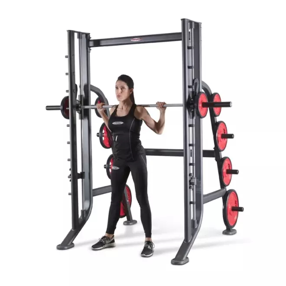 Машина Смита PANATTA Fit Evo Smith Machine Linear Bearings 1FE113B