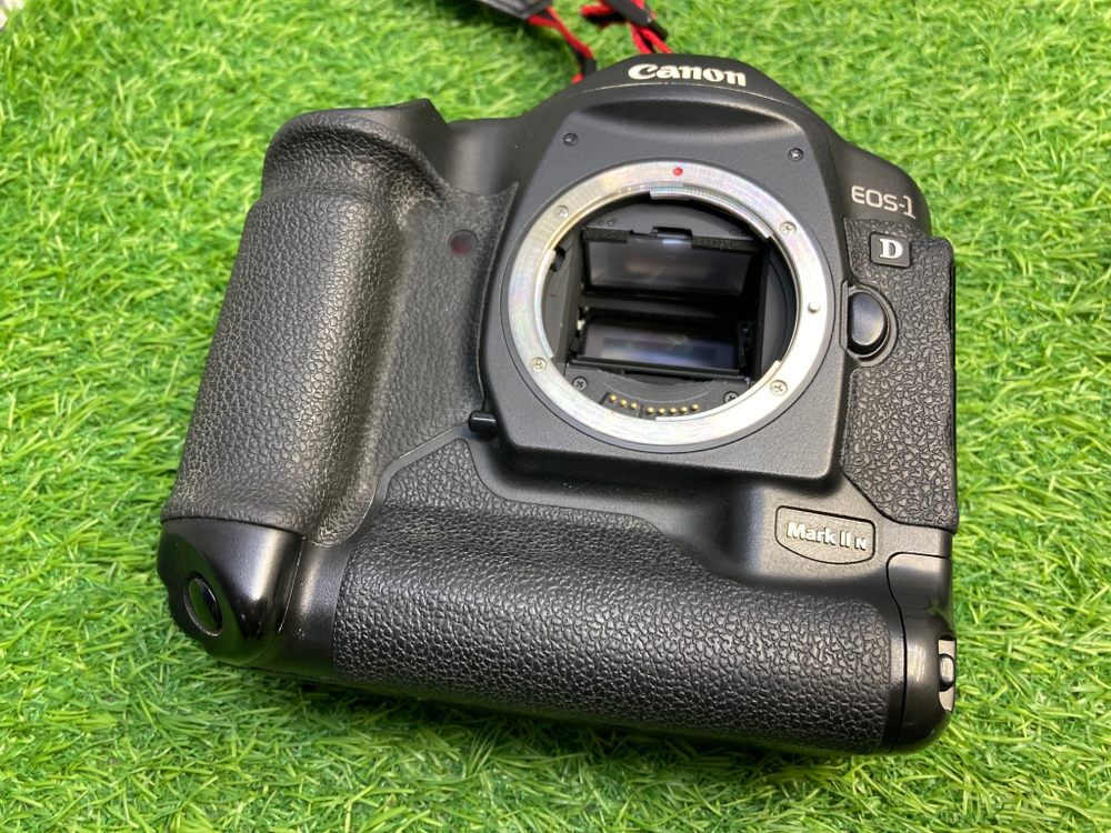 Canon EOS 1D Mark II (156.000 кадров)