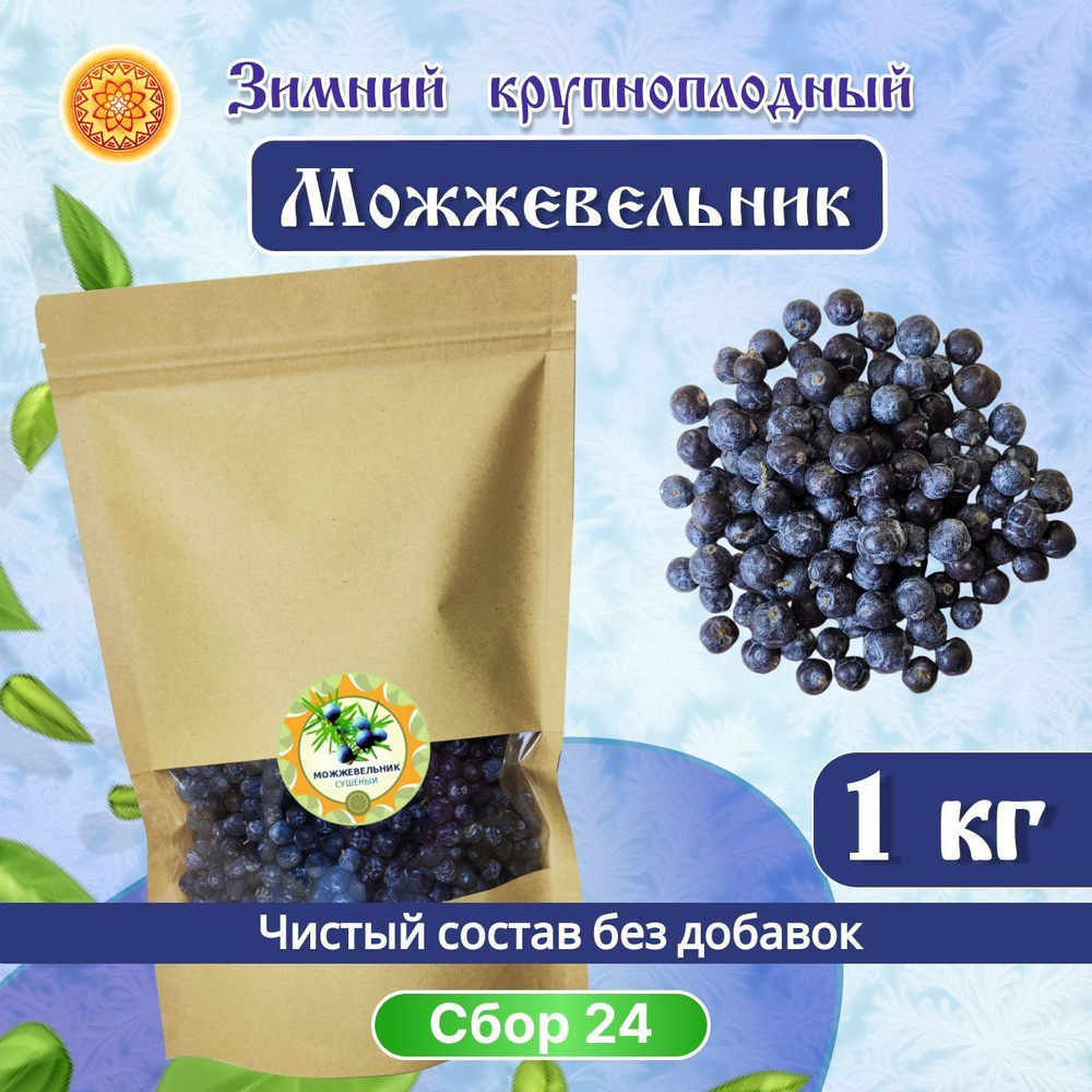 Можжевельник Зимний крупный сушеный.