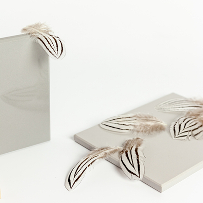 Перья фазана серебряного 7-10 см. 10 шт.