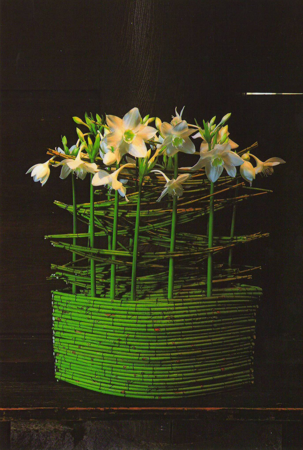 Daniel Ost. Exhibition in Kyoto Toji