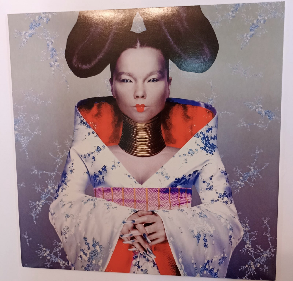 Bjоrk Homogenic (UK 2010)