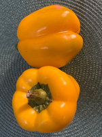 Перец Ченака F1 25шт