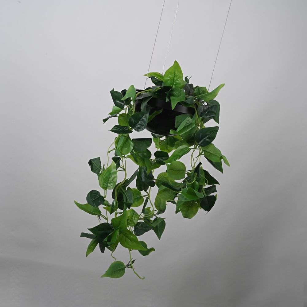 Подвесной Светильник Palma Wall Lamp Шар + Вазон By Imperiumloft