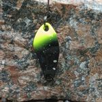 Блесна Micro Atom 2.5 гр Col:009