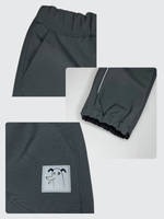 Брюки софтшелл Drive GRAY