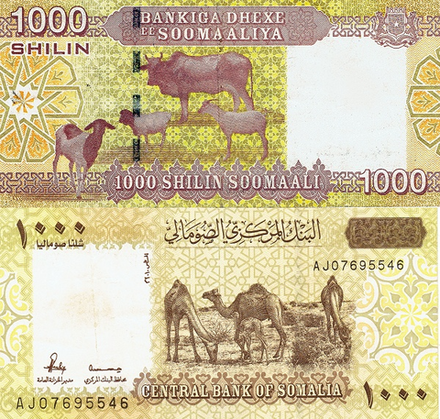 Сомали 1000 шиллингов 2010 Овца UNC