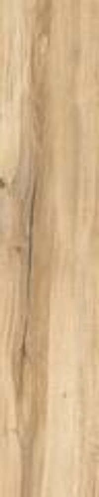 Rondine Daring Honey 24x120