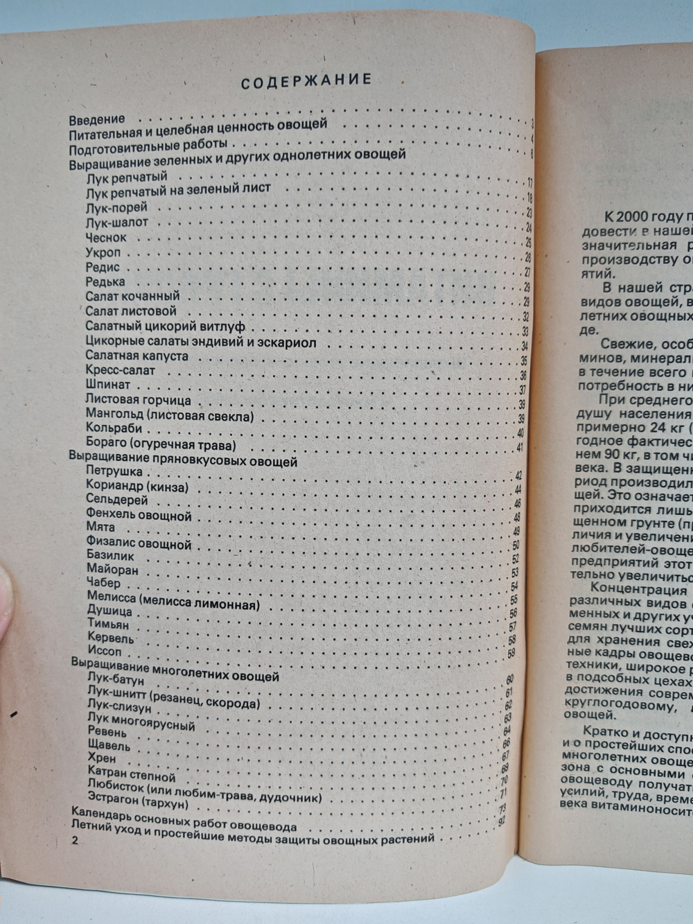 Витамины с грядки