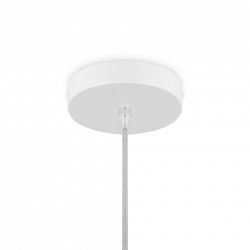 Подвесной светильник Freya Cottage FR5405PL-01W2