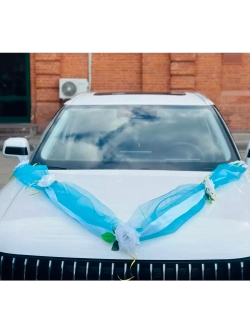 Лента на капот