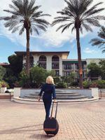 Tenba Sue Bryce Hat Box Roller