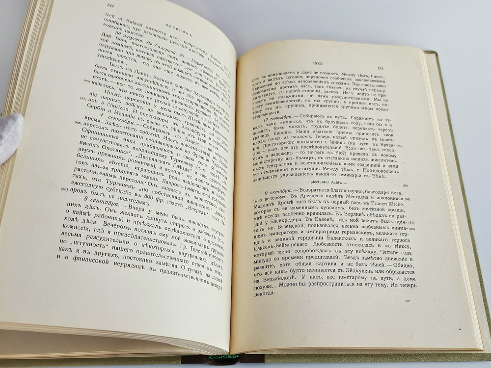 "Дневник 1877—1884". Граф П.А. Валуев. 1919 г.