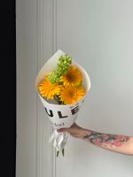 Кулек сборный из герберы, молюцеллы и вибурнума