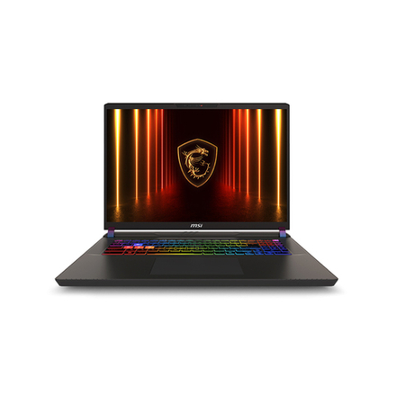 Ноутбук MSI Vector 17 HX AI A2XWHG-087XKZ 17" QHD+ 240Hz Ultra 9 275HX 32GB 1TB RTX5070 Ti DOS