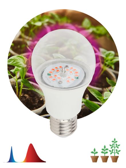 Фитолампа для растений светодиодная ЭРА FITO-12W-RB-E27 красно-синего спектра 12 Вт Е27