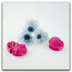 Лепестки анемона