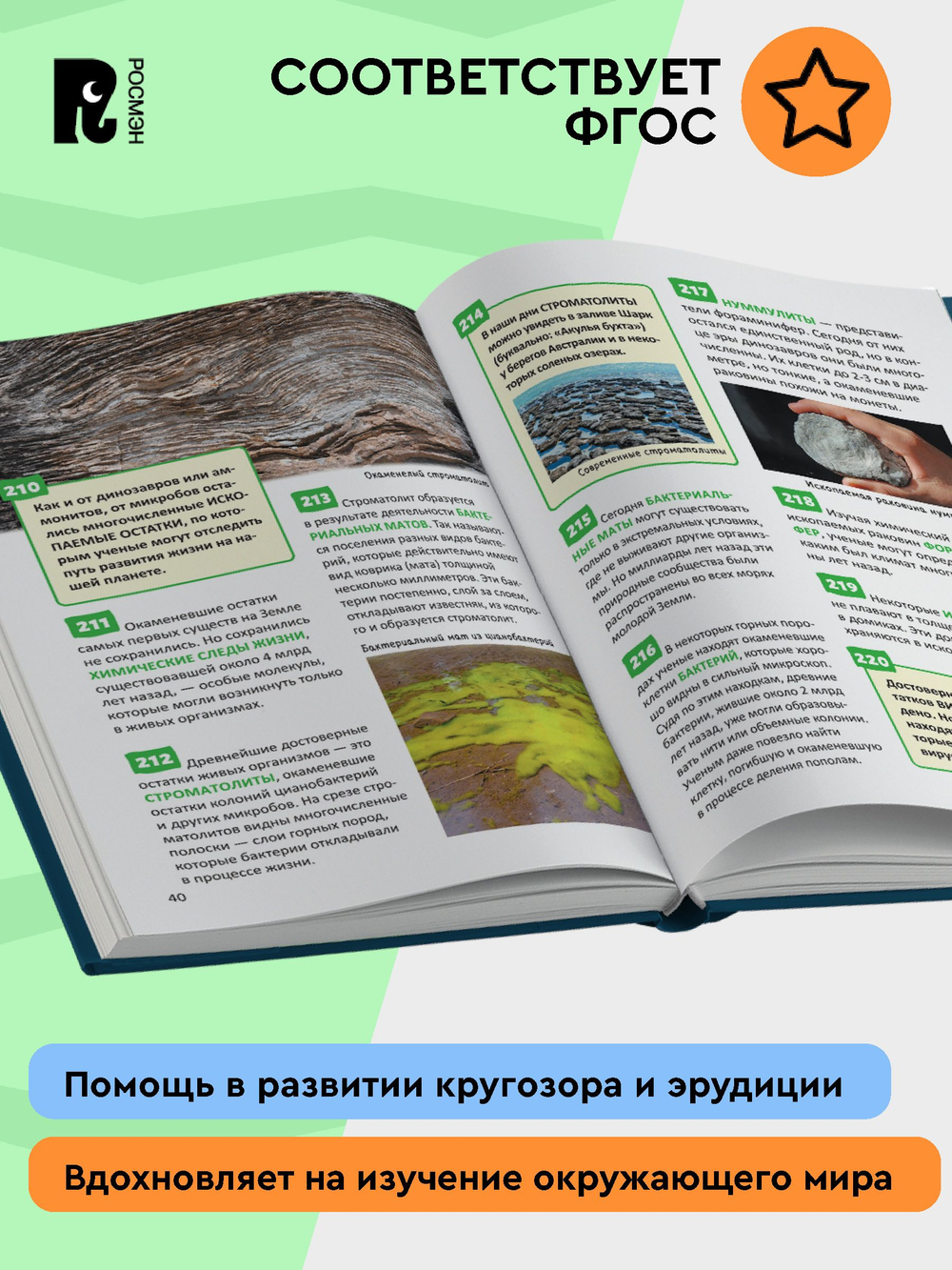 Птицы. Энциклопедия российского школьника