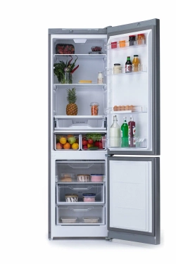 Холодильник Indesit DS 4200 G
