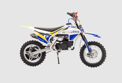 Питбайк Motoland XT50