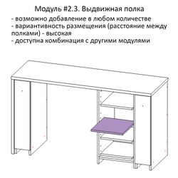 Модуль #2.3. Выдвижная полка