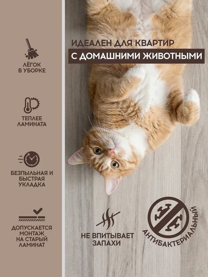 SPC ламинат I-Floors Chamfer 4v - Дуб Дымчатый