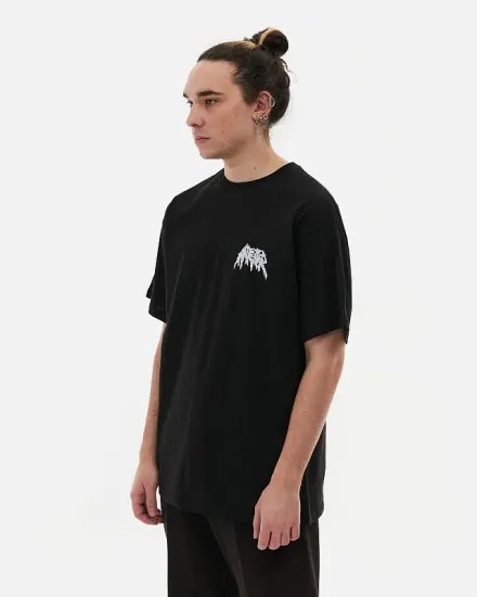 Футболка Anteater 385 чёрный
