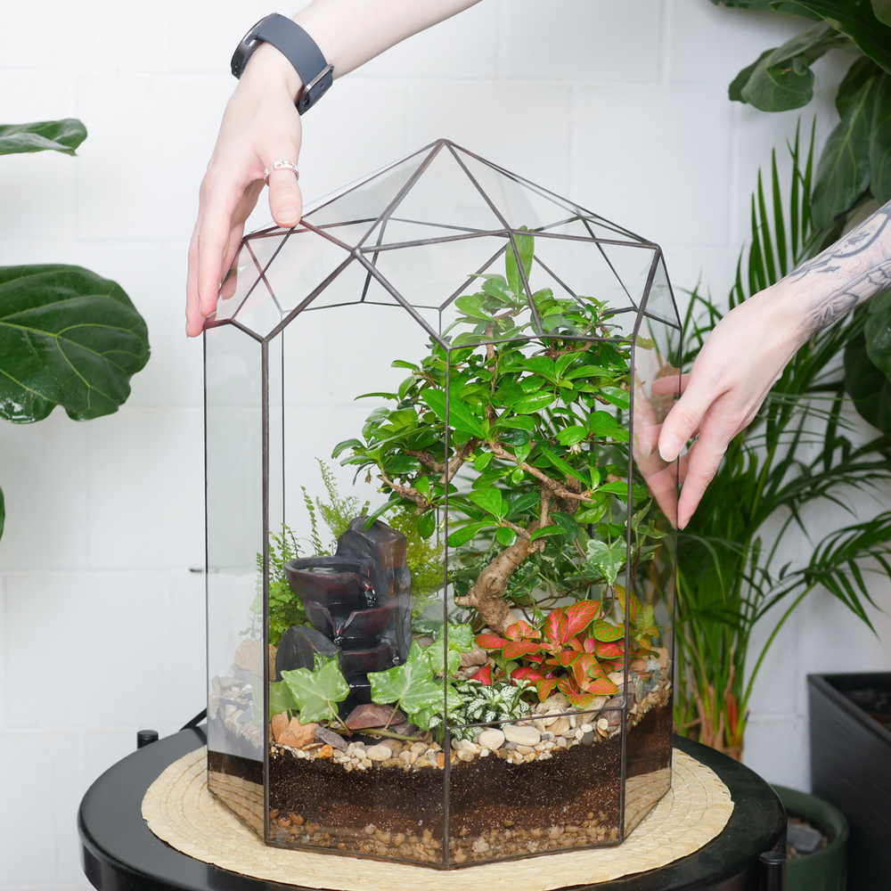 Готовый флорариум бонсай Кармона Ботанический сад с водопадом