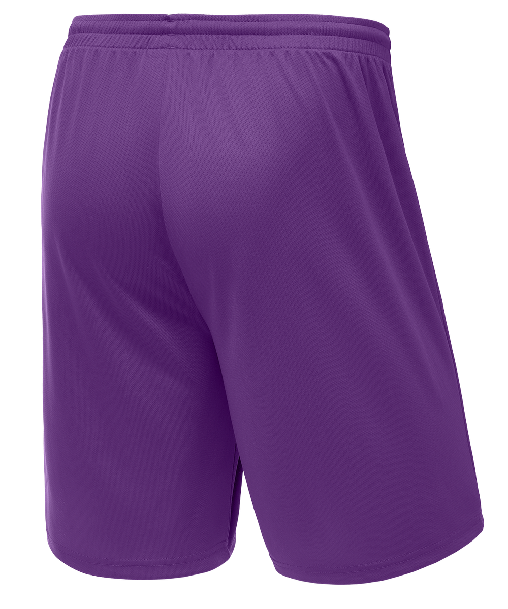 Шорты баскетбольные Camp Basic, фиолетовый, детский