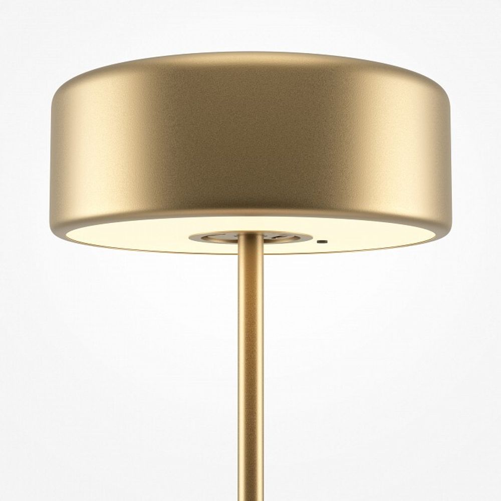 Настольная лампа декоративная Maytoni AI Collaboration MOD229TL-L3G3K2