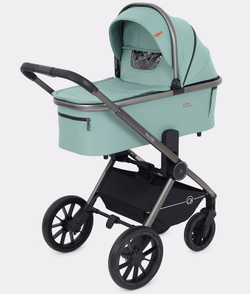 Детская коляска Rant Falcon 2 в 1 Green
