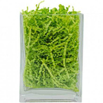 Бумажный наполнитель 100 гр.