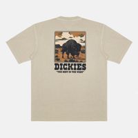  Футболка мужская Dickies Darrtown Short Sleeve Tee 