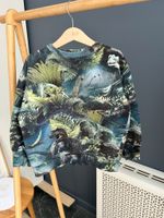 Хлопковый костюм Molo, 116