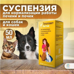 Apicenna Гепатовет Актив для собак и кошек, суспензия для нормализации и улучшения работы печени, 50 мл. Метионин.