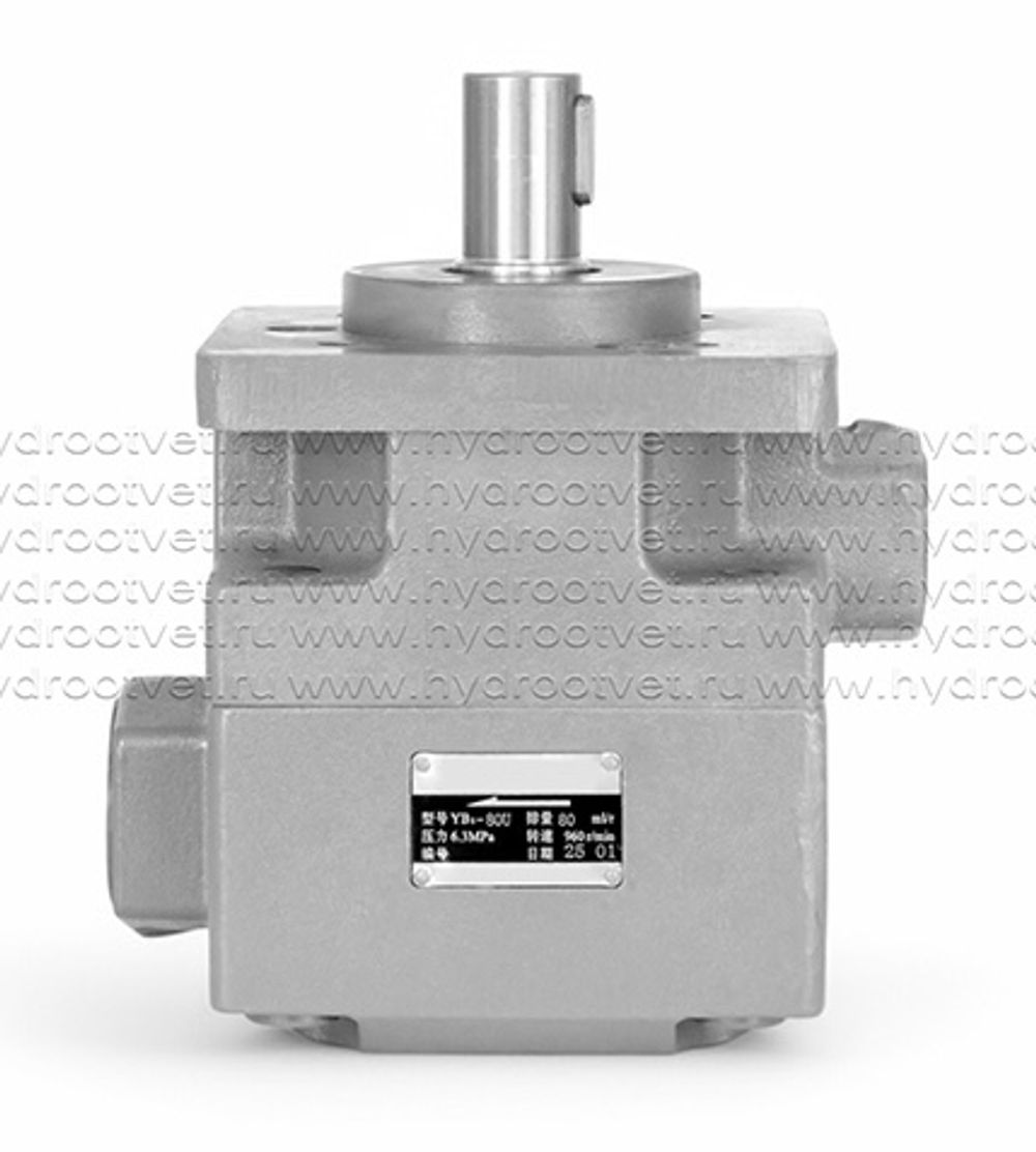 НПл 80/6,3 - Пластинчатый нерегулируемый насос с рабочим объемом 80 см3 (YB1-80U)