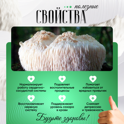 Ежовик гребенчатый, плодовые тела lions mane + мицелий, капсулы 60 шт.