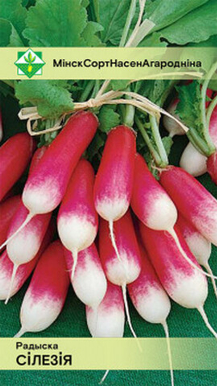 Редис "Силезия" 3г, Польша.