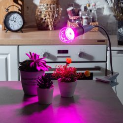 TLI-280 WHITE E27 PLANT Светильник настольный для фитоламп. На прищепке. Цоколь E27. Белый. ТМ ФитоЛето